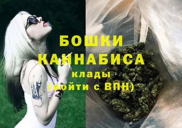 сатива Белоозёрский